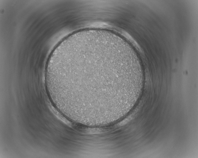 X0000080731232200701051051