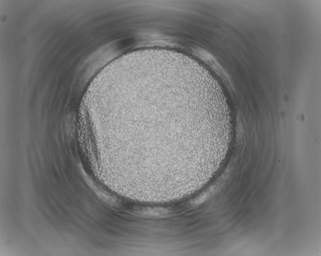 X0000080731233200701051051