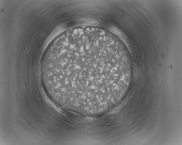 X0000080731235200701051051