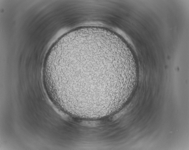 X0000080731237200701051051