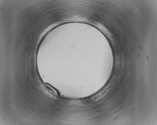 X0000080731238200701051051