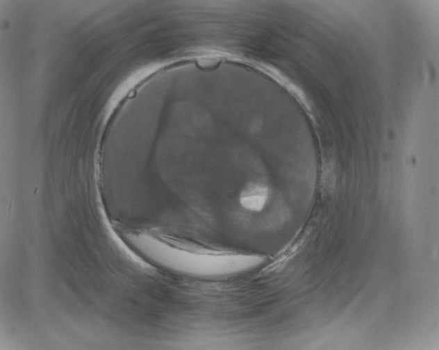 X0000080731239200701051051