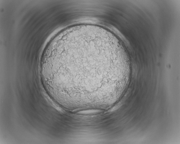 X0000080731240200701051051