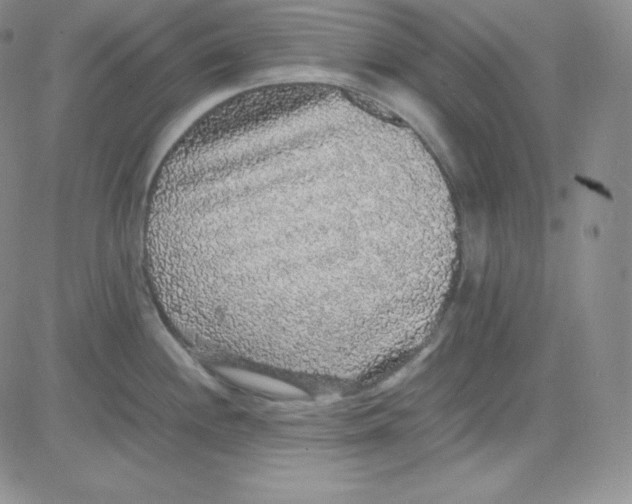 X0000080731244200701051051