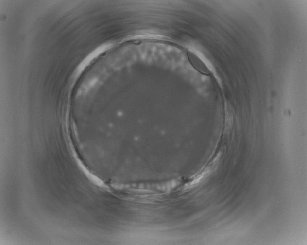 X0000080731245200701051051