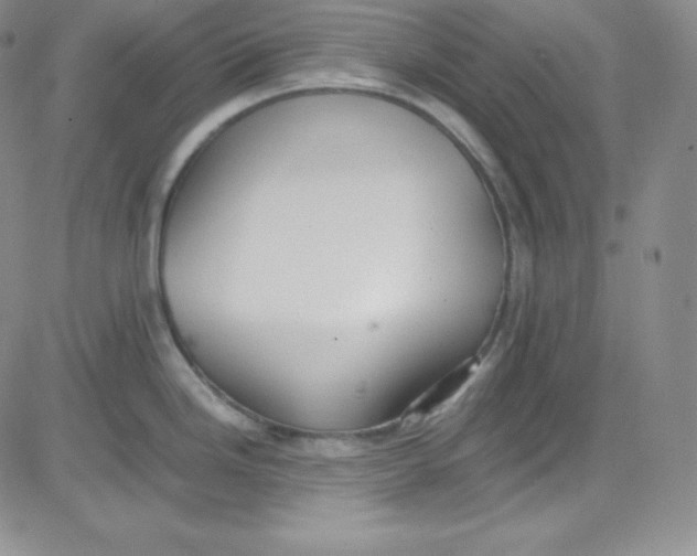 X0000080731246200701051051