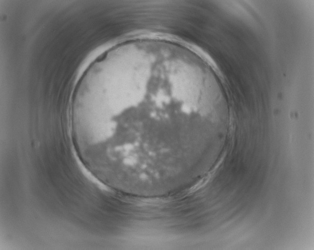 X0000080731247200701051051