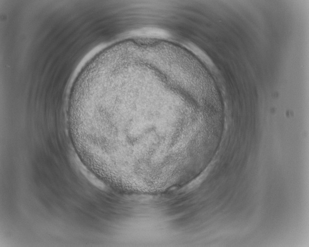 X0000080731248200701051051