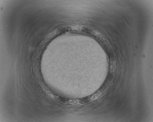 X0000080731249200701051050