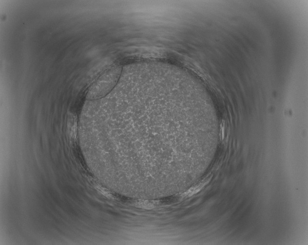 X0000080731251200701051050