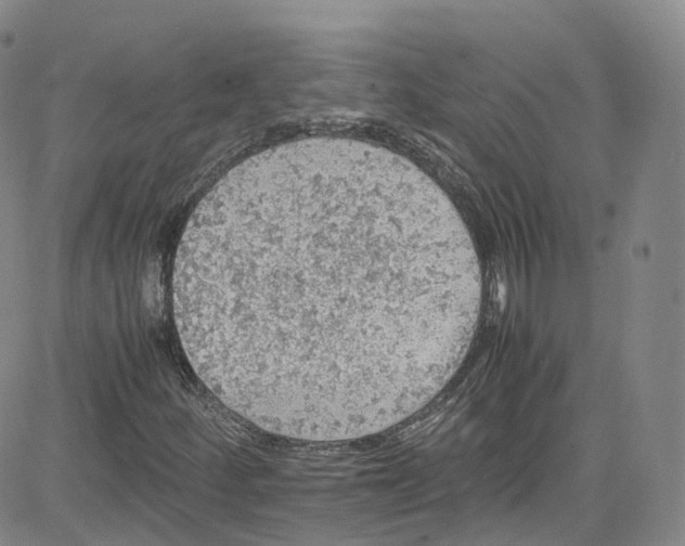 X0000080731252200701051050