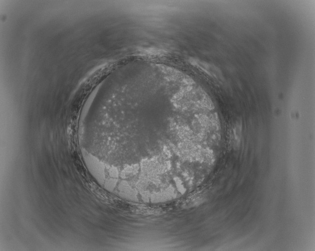 X0000080731254200701051050