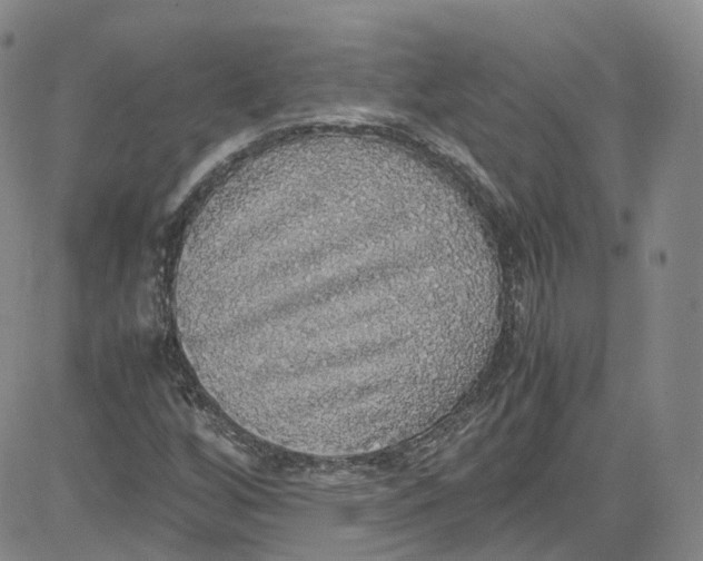 X0000080731256200701051050