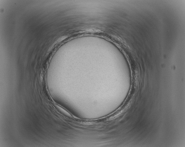 X0000080731257200701051050