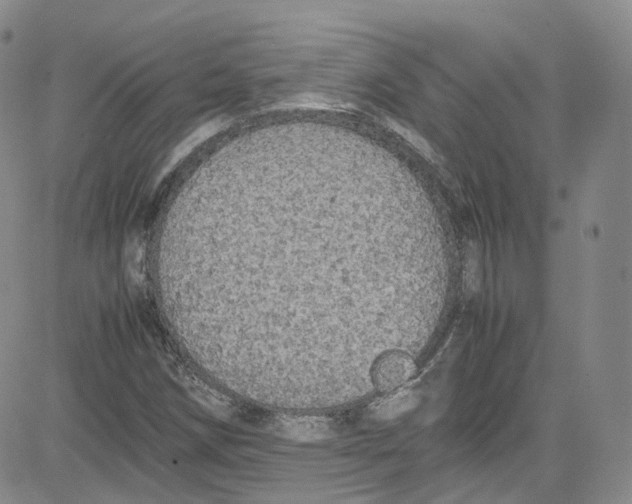 X0000080731258200701051050