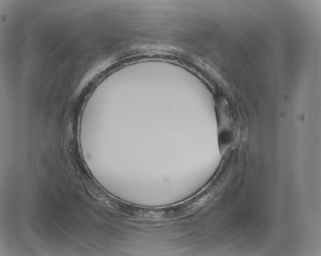 X0000080731261200701051050