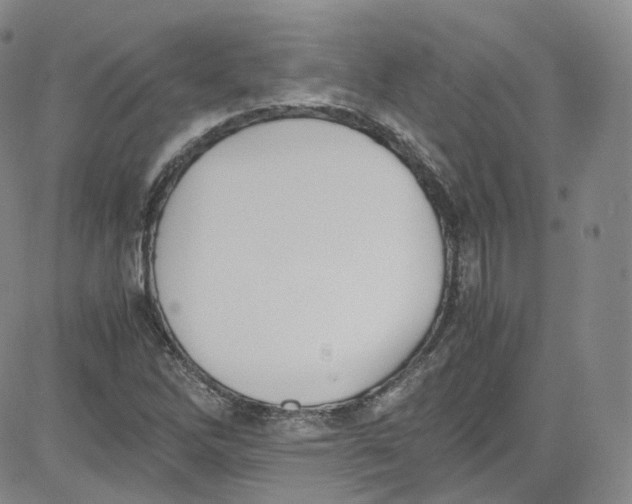 X0000080731262200701051050