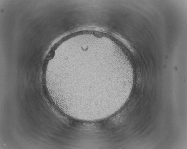 X0000080731264200701051050