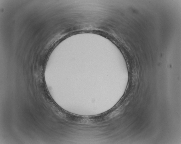 X0000080731265200701051050