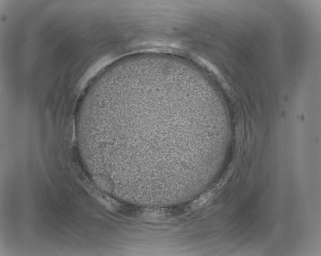 X0000080731267200701051050