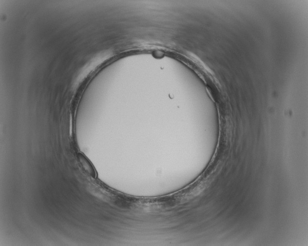 X0000080731269200701051050