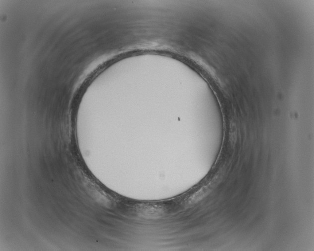 X0000080731270200701051050