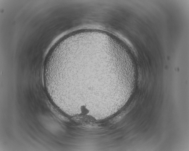 X0000080731272200701051050