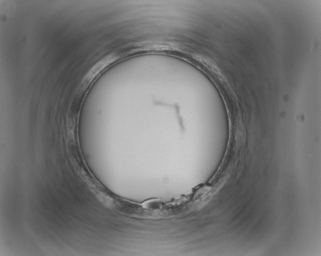 X0000080731273200701051050