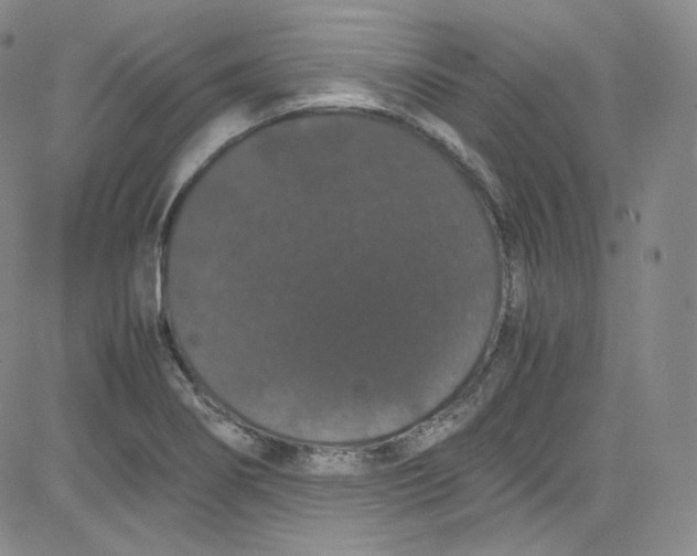 X0000080731274200701051050