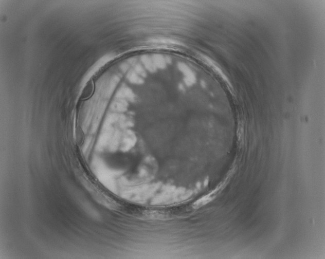 X0000080731275200701051050