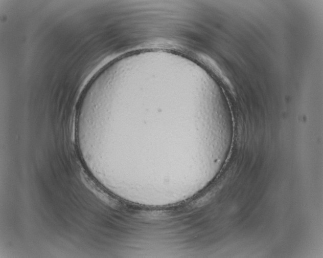 X0000080731276200701051050