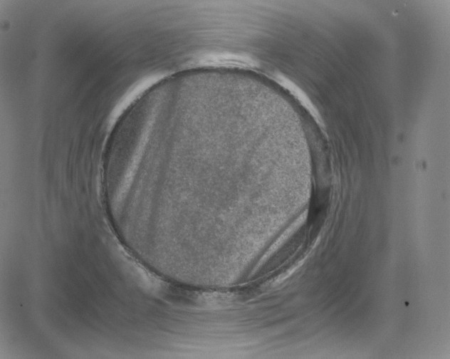 X0000080731277200701051050