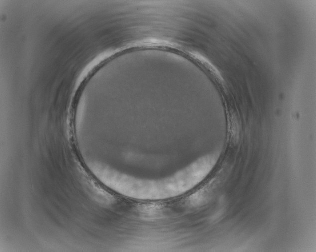 X0000080731278200701051050