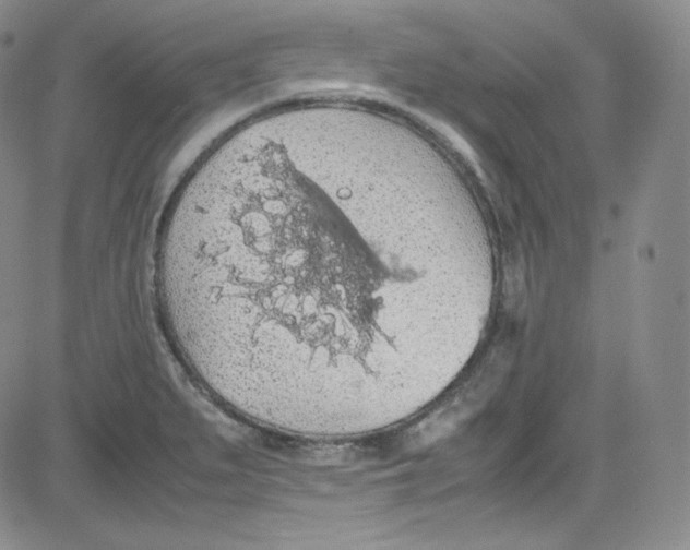 X0000080731279200701051050