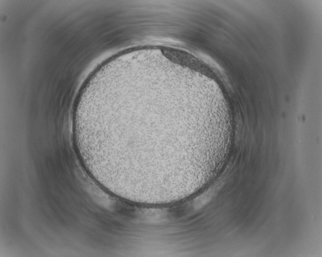 X0000080731280200701051050