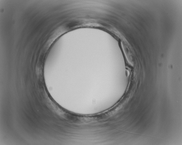 X0000080731281200701051050