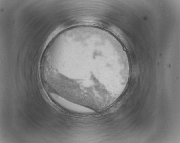 X0000080731283200701051050