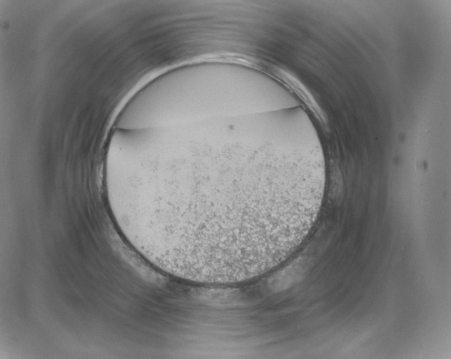 X0000080731284200701051050