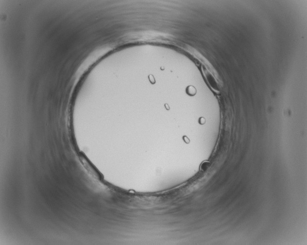 X0000080731285200701051050