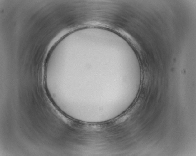 X0000080731286200701051050