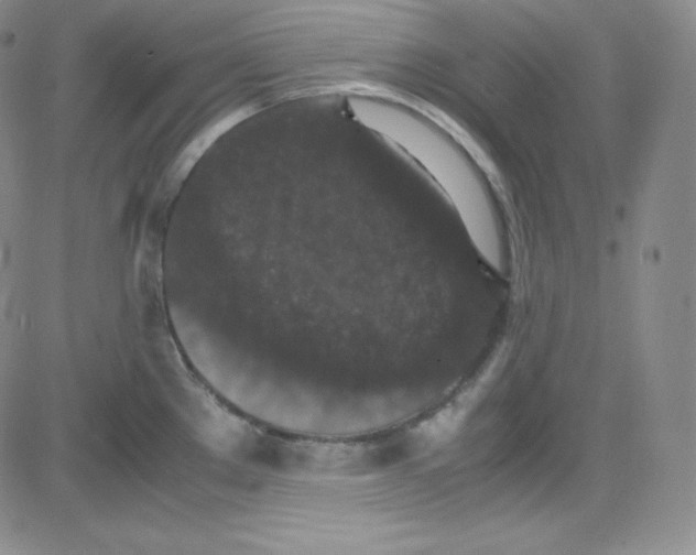 X0000080731289200701051050