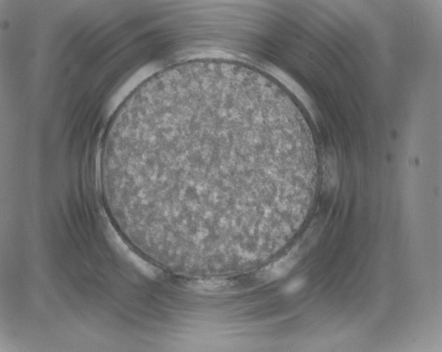 X0000080731290200701051050