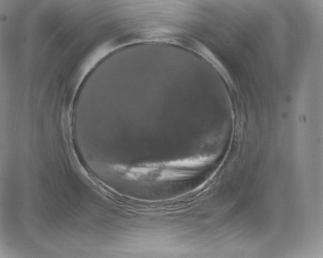 X0000080731291200701051050