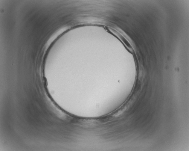 X0000080731293200701051050