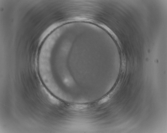 X0000080731294200701051050