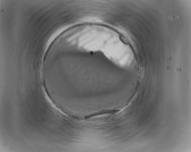 X0000080731295200701051050