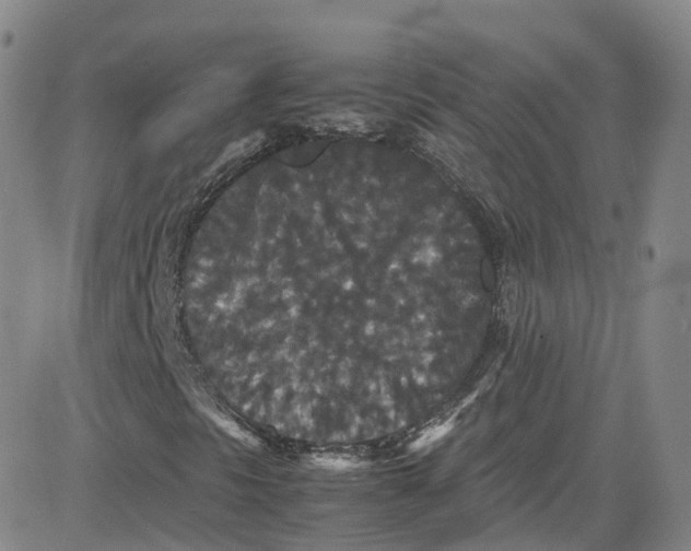 X0000080731297200701051049