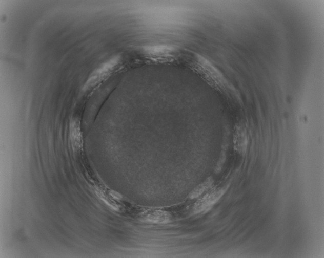 X0000080731298200701051049