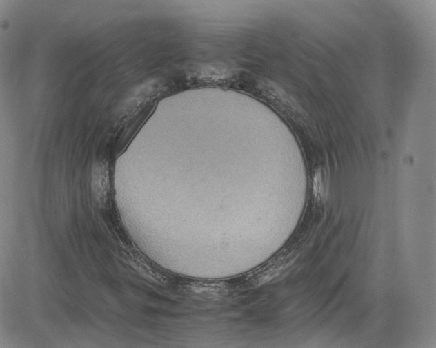 X0000080731299200701051049