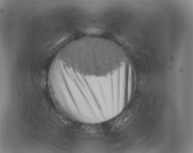 X0000080731301200701051049